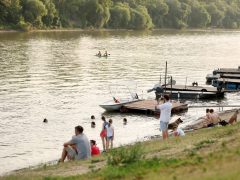 Szeged, tiszavirágzás, tiszavirág, kérész, Sárga, szabadstrand, strand, nyár, kajak, csónak, motorcsónak, Tisza, folyó, természet