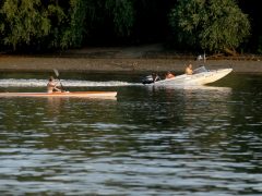 Szeged, tiszavirágzás, tiszavirág, kérész, Sárga, szabadstrand, strand, nyár, kajak, csónak, motorcsónak, Tisza, folyó, természet