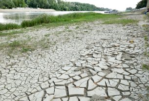 Szeged, 40 fok, nyár, meleg, hőség, kánikula, Tisza part, szárazság, aszály, időjárás