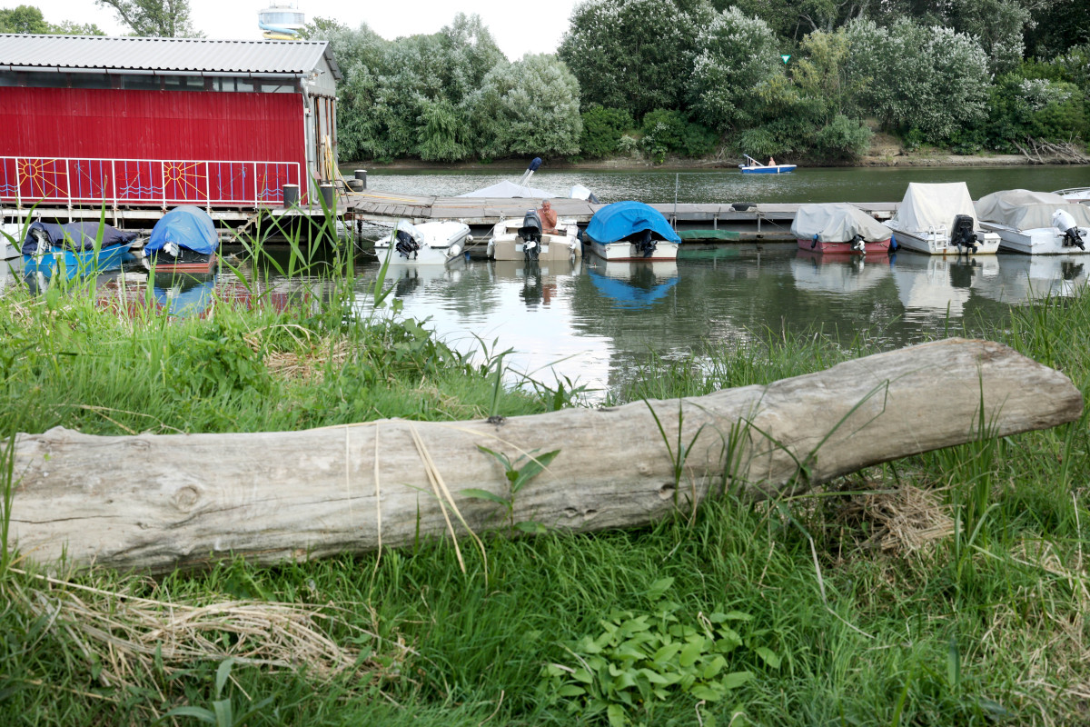 Szeged, 40 fok, nyár, meleg, hőség, kánikula, Tisza part, időjárás