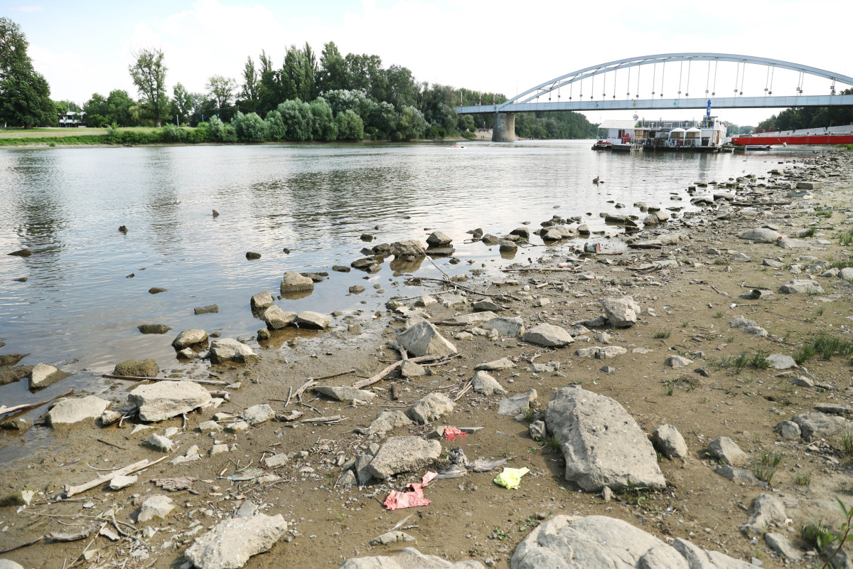 Szeged, 40 fok, nyár, meleg, hőség, kánikula, Tisza part, időjárás, Tisza