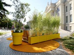 Szeged, ReGreenX, köztéri installáció, Móra park