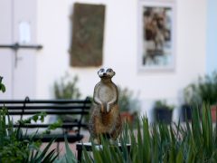 Szeged, nyár, kultura, Wagner udvar, Ars poetica, kiállítás, szobor