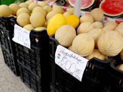 Szeged, görögdinnye, sárgadinnye, dinnye, Mars téri piac, piac