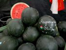 Szeged, görögdinnye, sárgadinnye, dinnye, Mars téri piac, piac