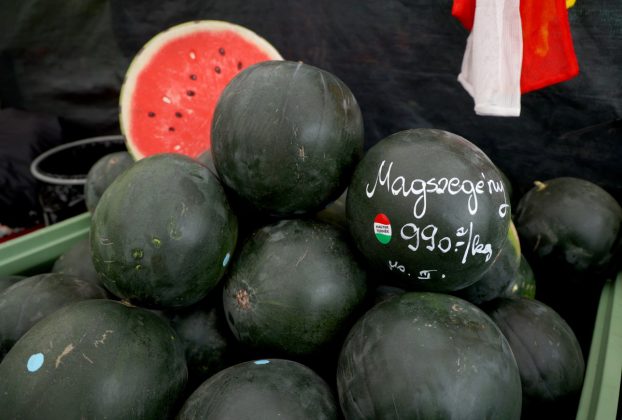 Szeged, görögdinnye, sárgadinnye, dinnye, Mars téri piac, piac