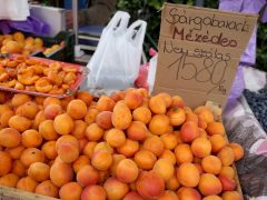 Szeged, sárgabarack, Mars téri piac, piac, gazdaság