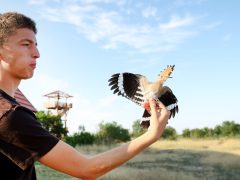 Sándorfalva, madárgyűrűzés, Sándorfalvi Szalakóta Látogatóközpont, természet, madár