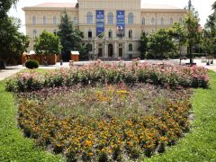 Szeged, virágos szeged, szegedi terek, nyár, időjárás, virág