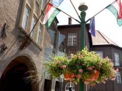 Szeged, virágos szeged, szegedi terek, nyár, időjárás, virág