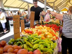 Szeged, zöldség, gyümölcs, nyár, július, Mars téri piac, piac, gazdaság, élelmiszer, paradicsom, paprika