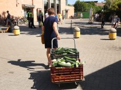 Szeged, zöldség, gyümölcs, nyár, július, Mars téri piac, piac, gazdaság, élelmiszer