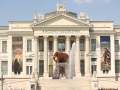 Szeged, Móra Ferenc Múzeum, múzeum, Jégkorszak, kiállítás, mamut