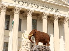 Szeged, Móra Ferenc Múzeum, múzeum, Jégkorszak, kiállítás, mamut