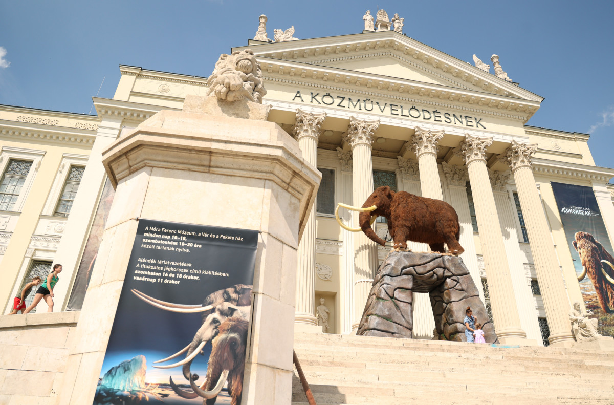 Szeged, Móra Ferenc Múzeum, múzeum, Jégkorszak, kiállítás, mamut