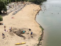Szeged, krokodil, homokszobor, épít, Lapos, szabadstrand