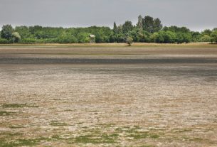 Mórahalom, kiszáradt, Nagyszéksós-tó, Bivalyrezervátum, vízfelület, aszály, szárazság, nyár, természet, hattyú