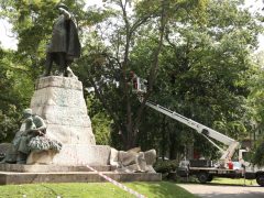 Szeged, Széchenyi tér, platán, Szegedi Környezetgazdálkodási Nkft., alpinisták, fanyesés, fák