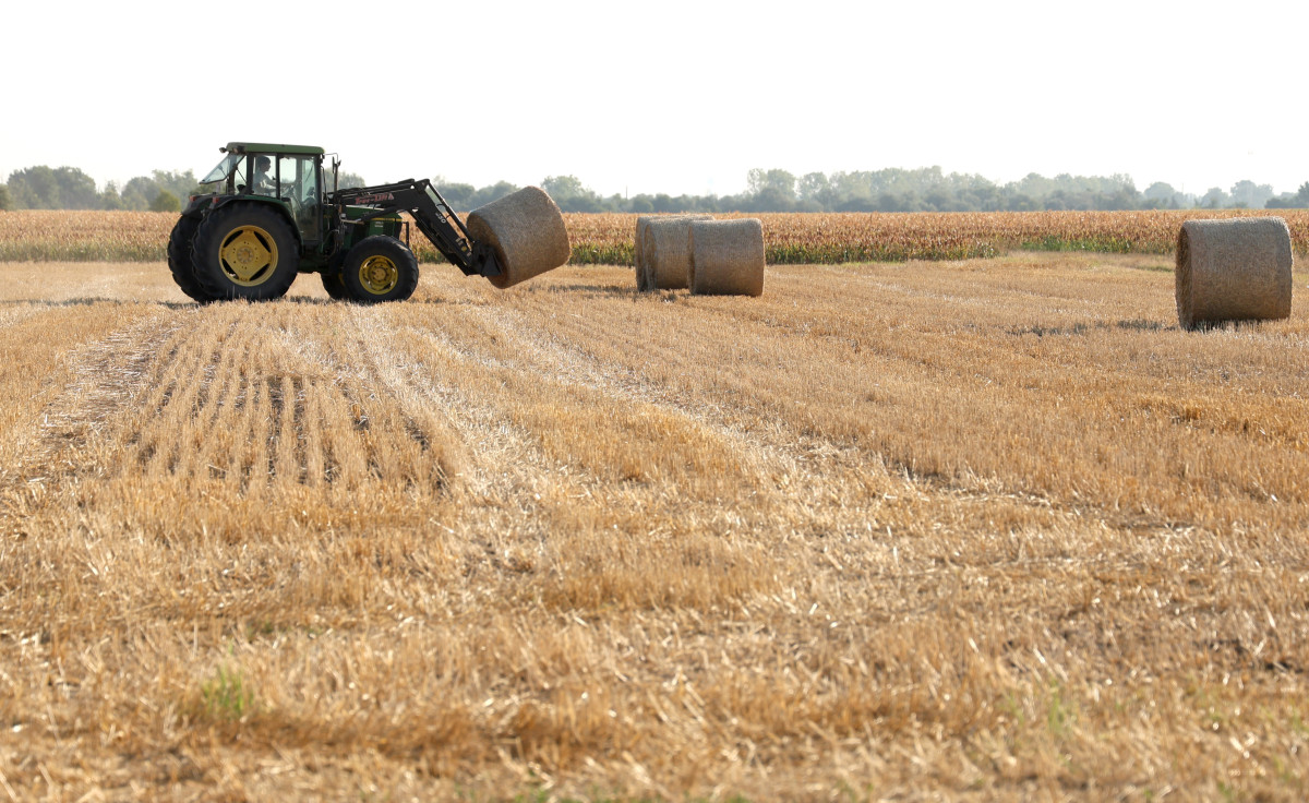 Röszke, aratás után, begyűjtés, bálák, föld, mezőgazdaság