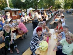 Szeged, Államalapítás Ünnepe, programok, Széchenyi tér