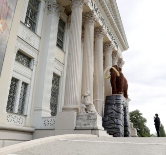 Szeged, Móra Ferenc Múzeum, múzeum, Jégkorszak kiállítás, 50 ezredik látogató, kultura