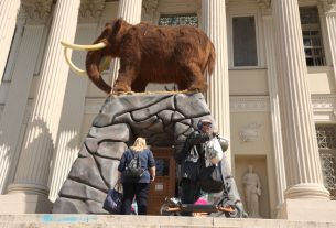 Szeged, Móra Ferenc Múzeum, múzeum, Jégkorszak kiállítás, 50 ezredik látogató, kultura