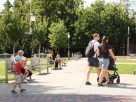 Szeged, Móra park, augusztus, napsütés, időjárás