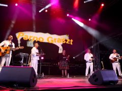 Szeged, Coca-Cola SZIN, SZIN, Szegedi Ifjúsági Napok, fesztivál, koncert