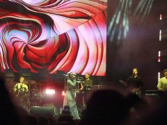 Szeged, péntek este, SZIN, fesztivál, koncert, Margaret Island