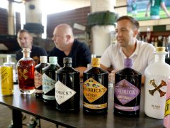 Szeged, Gin & Rum Gasztro Fesztivál, Gin & Rum, fesztivál, Bárka, Móra park, sajtótájékoztató