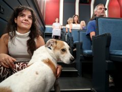 Szeged, Kövér Béla Bábszínház, bábszínház, évadnyitó