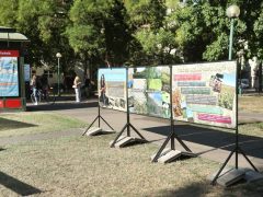 Szeged, plakátkiállítás, plakát, Aradi vértanúk tere, Homokhátság, elsivatagosodás