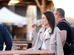 Szeged, Dóm tér, ősz, bor, Borfesztivál, Bor tér, felvonulás, borrendek, néptánc