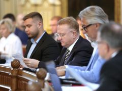 Szeged, közgyűlés, városháza, Botka László