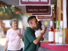 Szeged, Bor tér, bor, fesztivál, Dóm tér