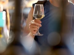 Szeged, Bor tér, bor, fesztivál, Dóm tér