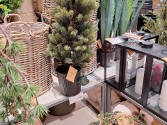 Szeged, szeptember, karácsony, áru, dekoráció