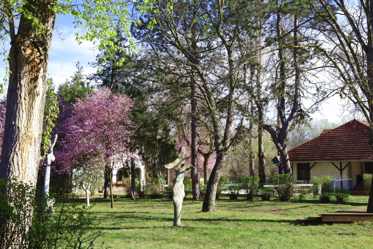 Csongrád. Alkotóház. Művésztelep. Fotó: Alkotóház-Művésztelep Csongrád hivatalos FB