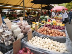 Szeged, ősz, szeptember, zöldség, gyümölcs, Mars téri piac, piac, gazdaság, szőlő, szilva, bab, körte, karfiol, paprika, paradicsom, hagyma, fokhagyma