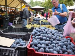 Szeged, ősz, szeptember, zöldség, gyümölcs, Mars téri piac, piac, gazdaság, szőlő, szilva, bab, körte, karfiol, paprika, paradicsom, hagyma, fokhagyma