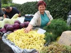 Szeged, ősz, szeptember, zöldség, gyümölcs, Mars téri piac, piac, gazdaság, szőlő, szilva, bab, körte, karfiol, paprika, paradicsom, hagyma, fokhagyma