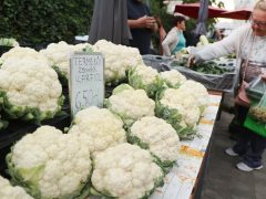 Szeged, ősz, szeptember, zöldség, gyümölcs, Mars téri piac, piac, gazdaság, szőlő, szilva, bab, körte, karfiol, paprika, paradicsom, hagyma, fokhagyma