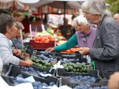 Szeged, ősz, szeptember, zöldség, gyümölcs, Mars téri piac, piac, gazdaság, szőlő, szilva, bab, körte, karfiol, paprika, paradicsom, hagyma, fokhagyma