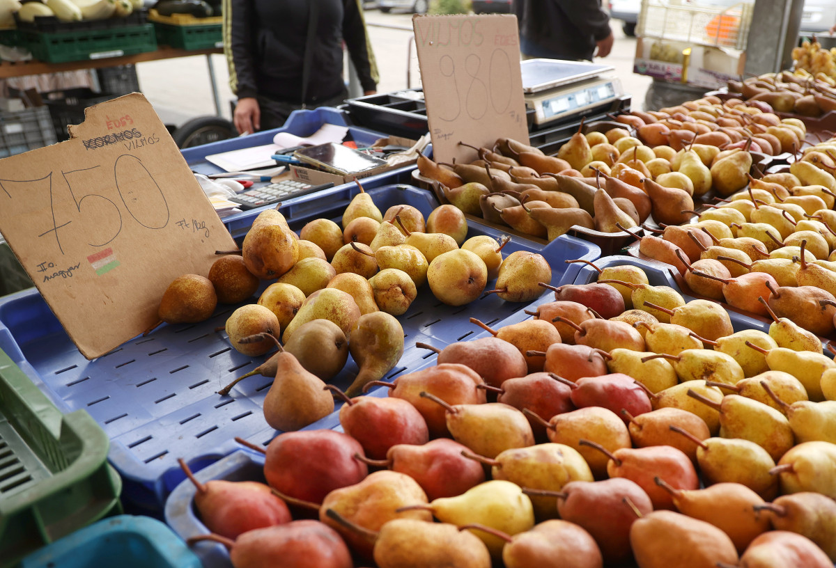 Szeged, ősz, szeptember, zöldség, gyümölcs, Mars téri piac, piac, gazdaság, szőlő, szilva, bab, körte, karfiol, paprika, paradicsom, hagyma, fokhagyma