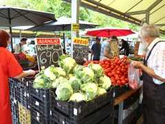 Szeged, ősz, szeptember, zöldség, gyümölcs, Mars téri piac, piac, gazdaság, szőlő, szilva, bab, körte, karfiol, paprika, paradicsom, hagyma, fokhagyma