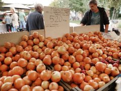 Szeged, ősz, szeptember, zöldség, gyümölcs, Mars téri piac, piac, gazdaság, szőlő, szilva, bab, körte, karfiol, paprika, paradicsom, hagyma, fokhagyma
