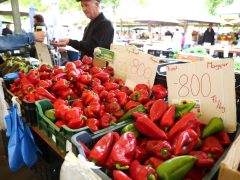Szeged, ősz, szeptember, zöldség, gyümölcs, Mars téri piac, piac, gazdaság, szőlő, szilva, bab, körte, karfiol, paprika, paradicsom, hagyma, fokhagyma