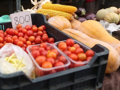 Szeged, ősz, szeptember, zöldség, gyümölcs, Mars téri piac, piac, gazdaság, szőlő, szilva, bab, körte, karfiol, paprika, paradicsom, hagyma, fokhagyma