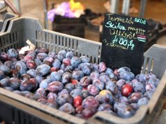 Szeged, ősz, szeptember, zöldség, gyümölcs, Mars téri piac, piac, gazdaság, szőlő, szilva, bab, körte, karfiol, paprika, paradicsom, hagyma, fokhagyma