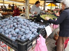 Szeged, ősz, szeptember, zöldség, gyümölcs, Mars téri piac, piac, gazdaság, szőlő, szilva, bab, körte, karfiol, paprika, paradicsom, hagyma, fokhagyma